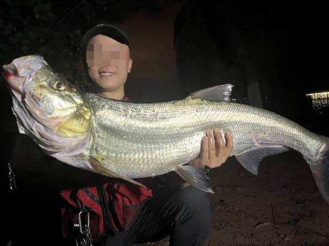 星空体育平台-生态治理还是高价钓鱼？西昌邛海4000元钓鱼年卡引质疑 律师：如此收费无法律依据